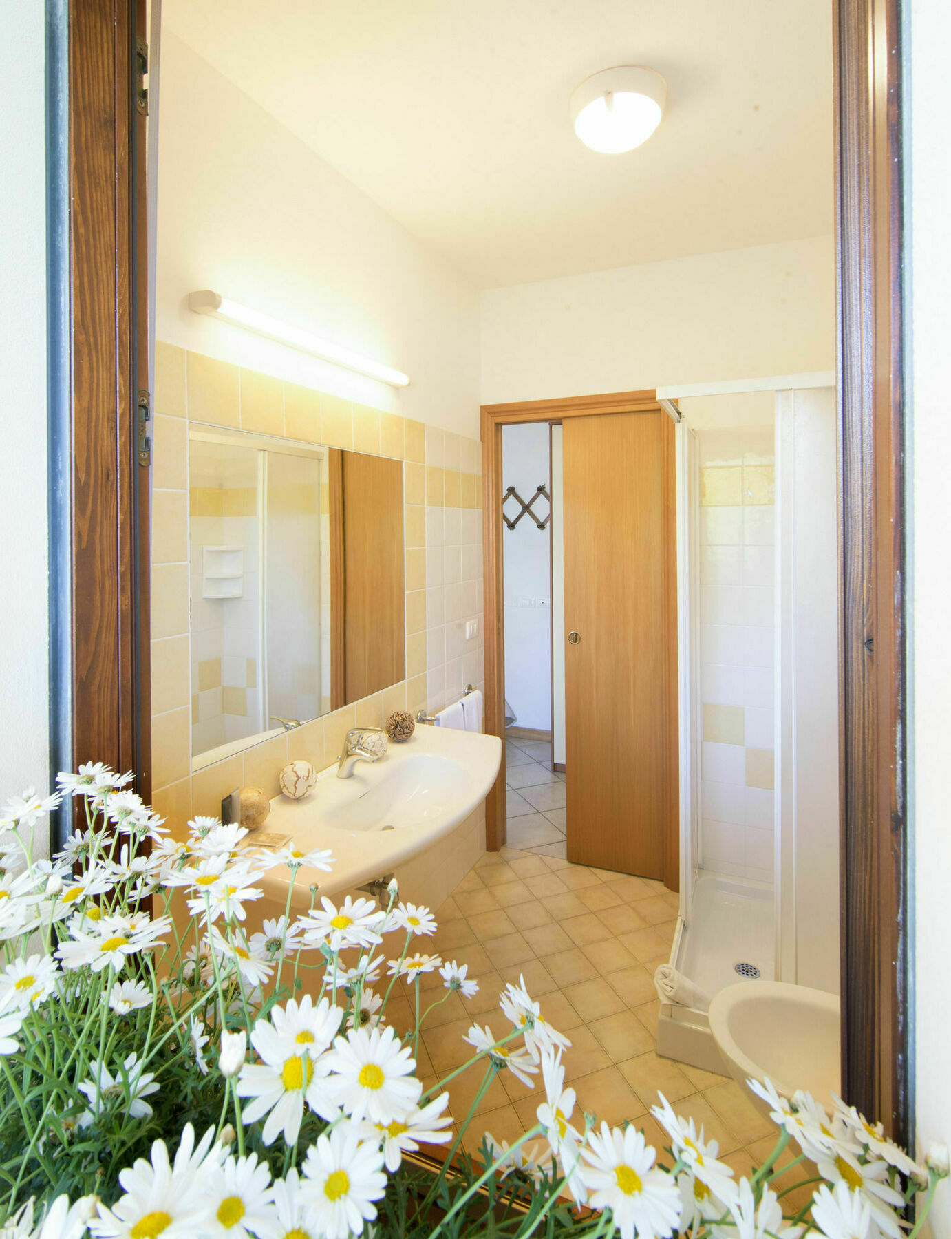 Residence Pineta Verde 밀라노마리티마 외부 사진